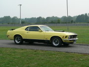 Mustang